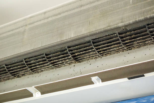 Best Professional Duct Cleaning Services  in El Reno, OK